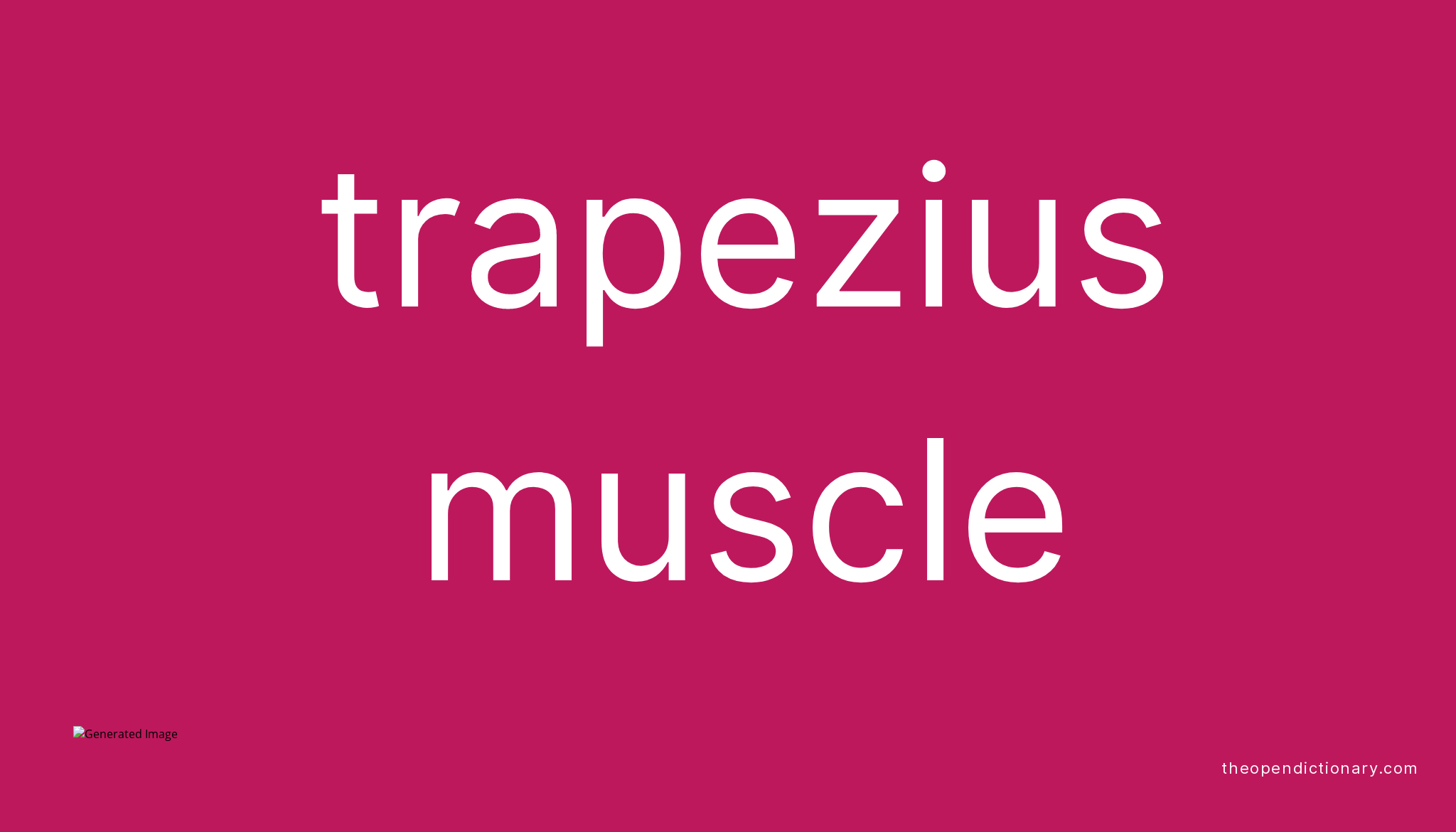 Trapezius muscle Meaning of Trapezius muscle Definition of